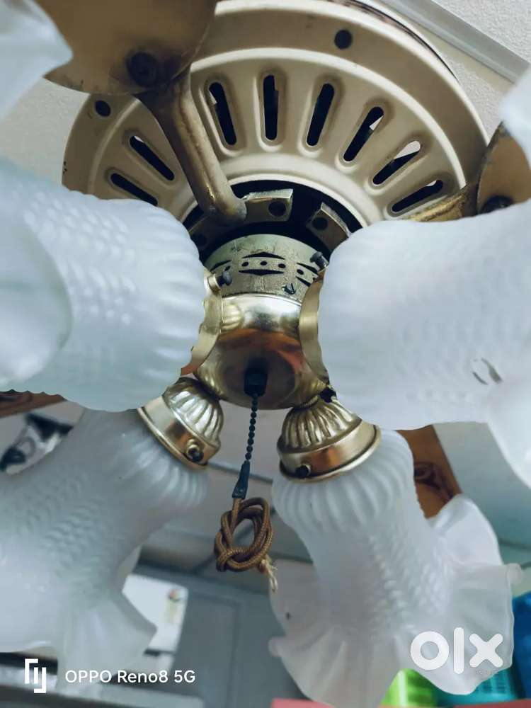 VINTAGE KHAITAAN LUMAIR