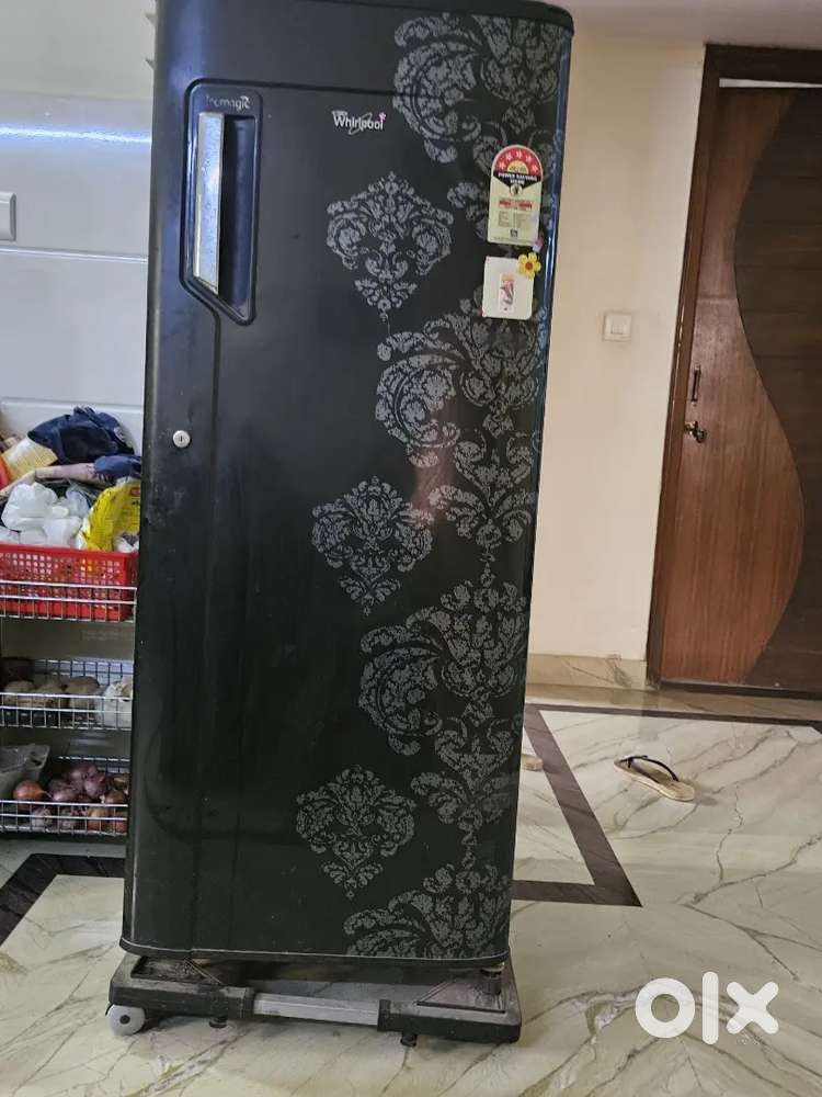 Single door 218 ltrs fridge,  floral print. Excellent condition