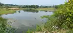 Holenarsipura hassan - 18 acre agricultural land