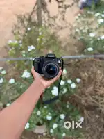 Canon 3000d,,,5month old
