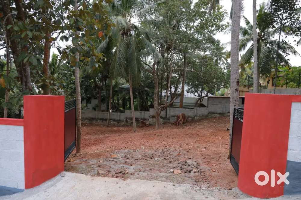 14.65 CENT, MUKKOLA JN,NR ST.THOMAS RES SCHOOL, GATED COMMUNITY