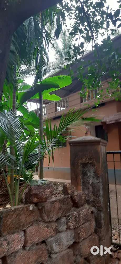 Double bedroom House for rent