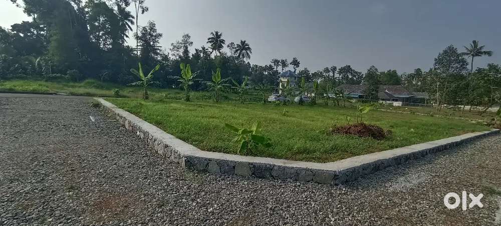 അങ്കമാലി തുറവൂർ ജംഗ്ഷന് സമീപം വീട് പണിയാൻ അനുയോജ്യ പ്ലോട്ടുകൾ