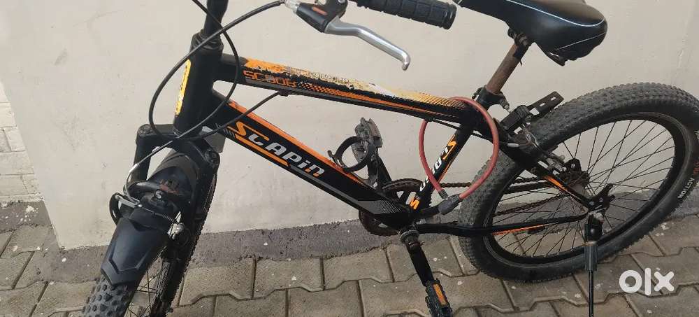 Scapin  cycle