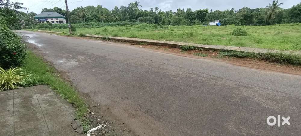 Nedumbassery athani 12 ct plot ct 7 10 lk