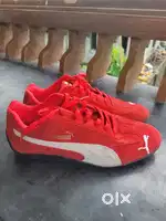 Sneakers male