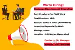 Need Business development executive
