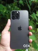 13 pro max