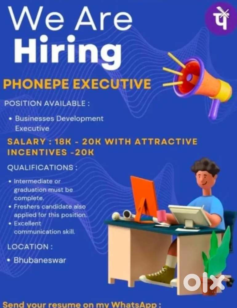 Post- Business Development Executive