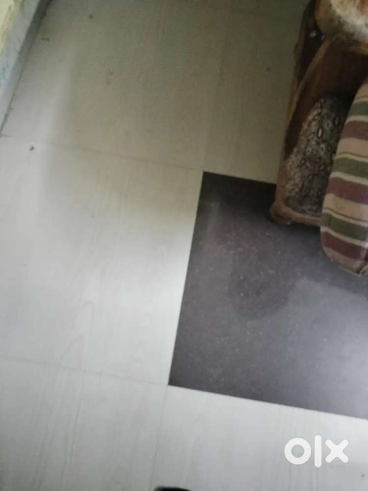 Bachelor rent at kalinga vihar k6 near Bus stand