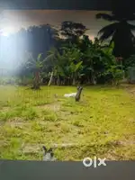 Land for sell, 2160 square feet (2.5 Gonda)