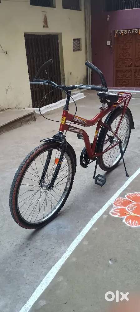 1 year old cycle