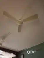 Havels Cealing fans