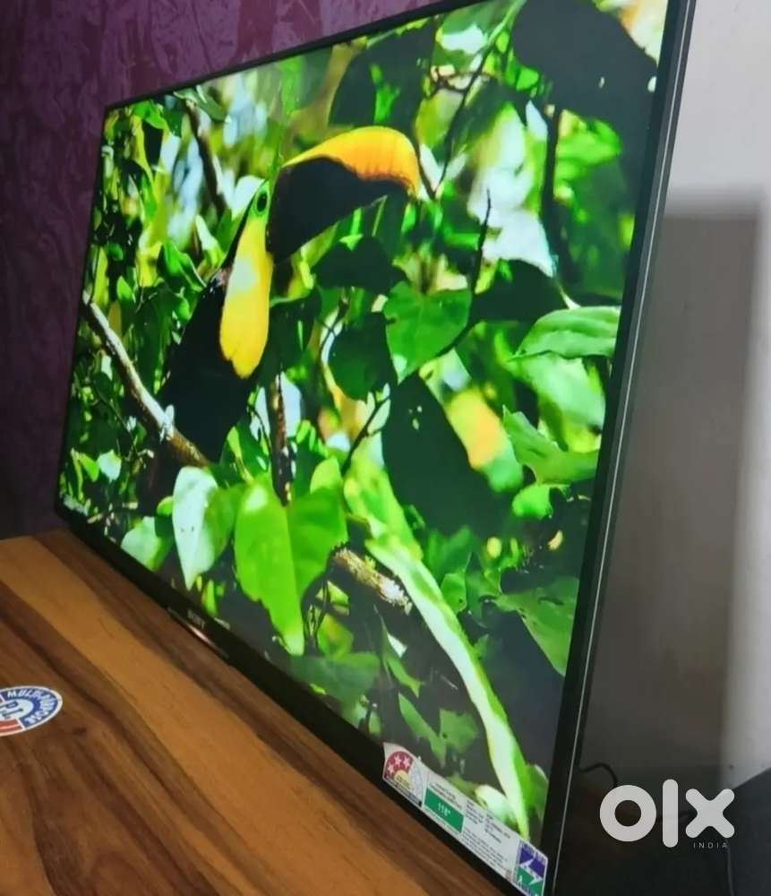 32 Google Android tv 2 years warranty cash on delivery