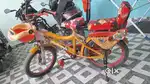 Maharaja Cycle