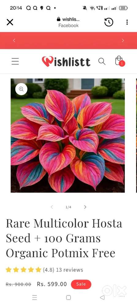 Wanted Single room with attached bathroom