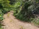 kodaikanal on road prproperty for sale