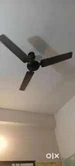 Chhat ka fan