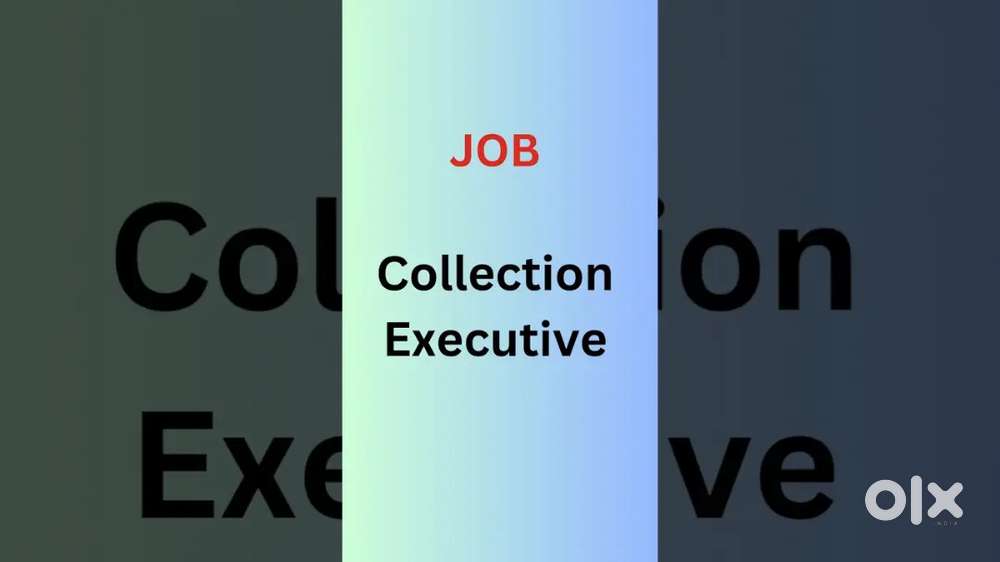 Field Collection Executive # Requirements # Interview