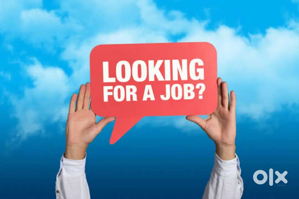 Back Office Job Totally Free