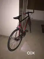Fyxation single speed