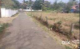 12 cent commercial land for sale in palakkad