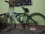 Cycle in low price
