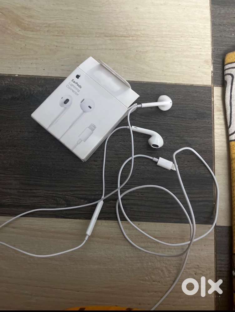 Apple Original lightning cable and earphone with bill