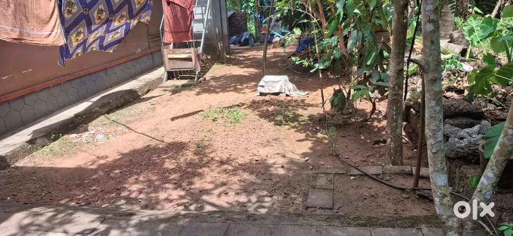 Parappur. kottakkal  Allachulliy