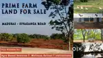 Farm Plots for Sale
