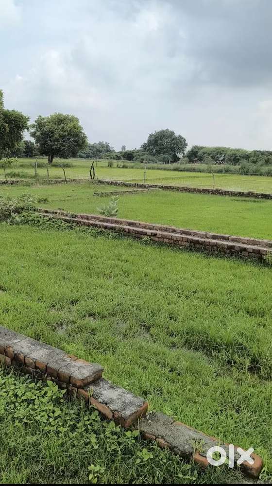 Urgent  plot  selling 52 gaj.