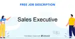 Sales Executive