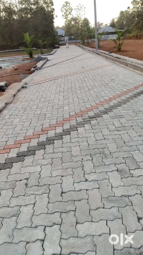 Pukkattupady bavapady 3cent4 cent 5 cent house plot