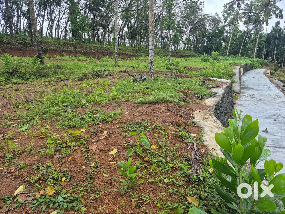 വീട് വക്കാന്‍ യോഗ്യമായ വസ്തു വില്‍പ്പനക്ക്