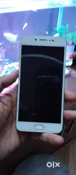Vivo v5 good condition phone