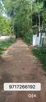 25 Cent land for sale
