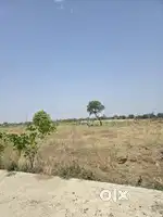 Dps farm near by dps school neelbad