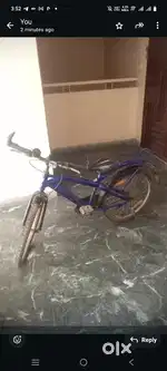 Blue colour Cycle