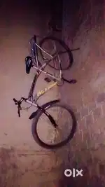 Badhia quality bicycle