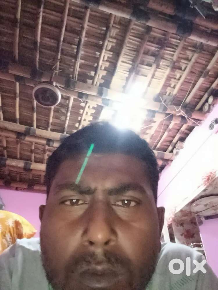 Mujhe ek driving job chahiye Malda Chanchal