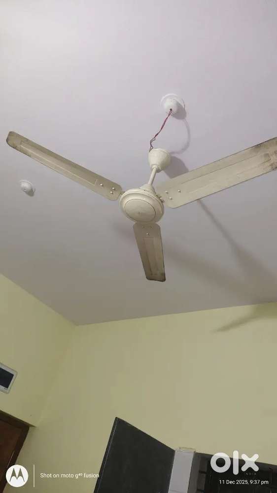 Fan in good condition of solimo company