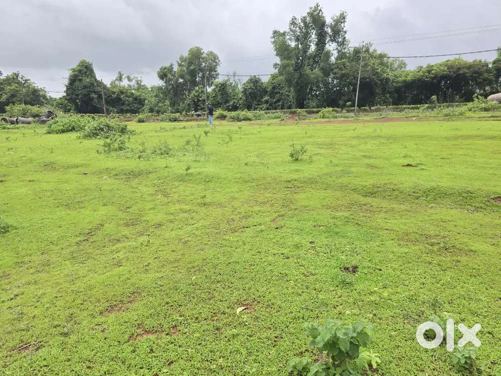 Next To Highway 360 sqmt Orchard Plot For Sale at Usgao
