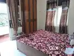 Requirement of a female flat partner