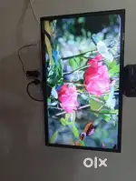 LG TV is an LG flat-screen LCD with dulbe digital sound