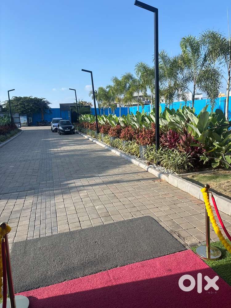 Required sales executive