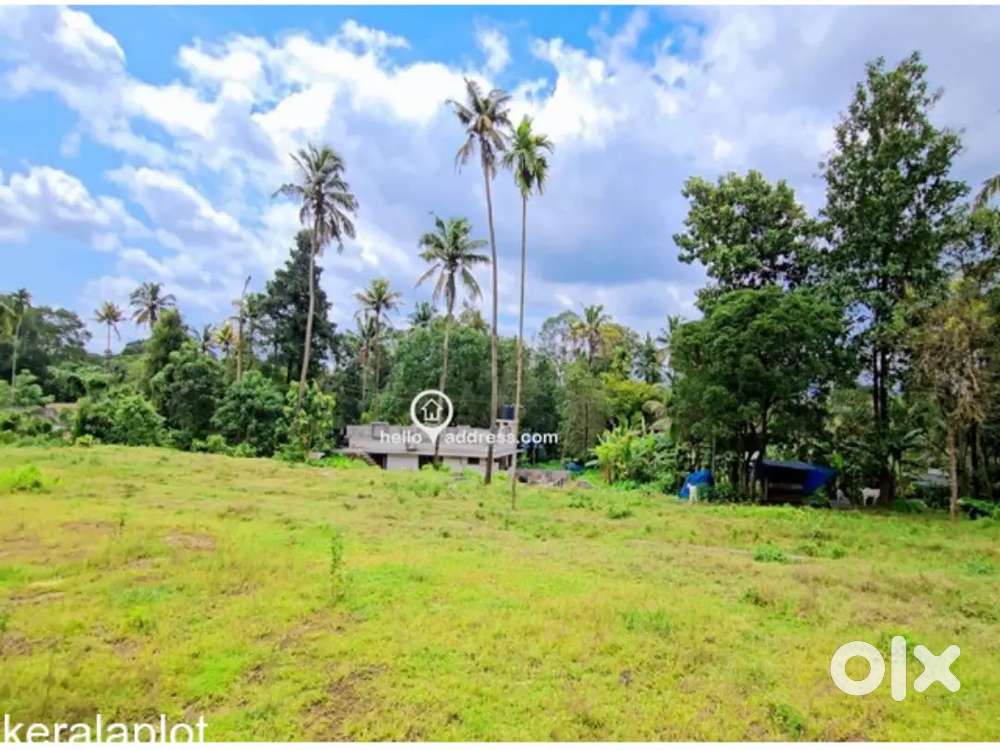 49 cent land For Sale Muvattupuzha, Mannoor