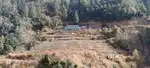 24 bigha orchard with house near theog