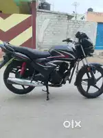 Honda shine need condition