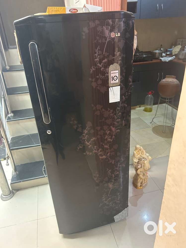 Lg brand fridge