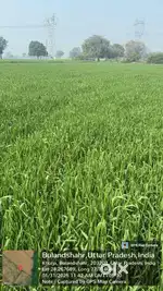 Land near Noida airport
